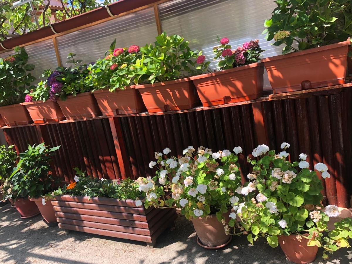 Natasha'S Home Perama  Luaran gambar